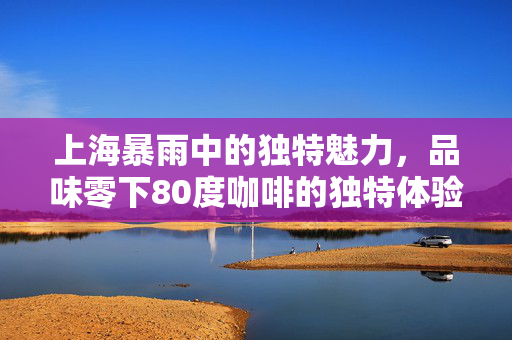 上海暴雨中的独特魅力，品味零下80度咖啡的独特体验