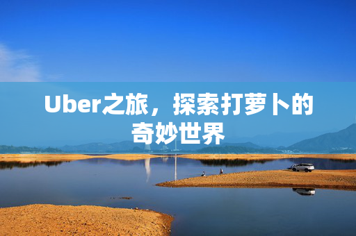 Uber之旅，探索打萝卜的奇妙世界