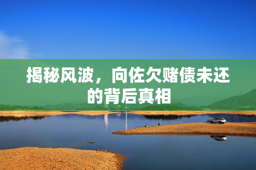 揭秘风波，向佐欠赌债未还的背后真相