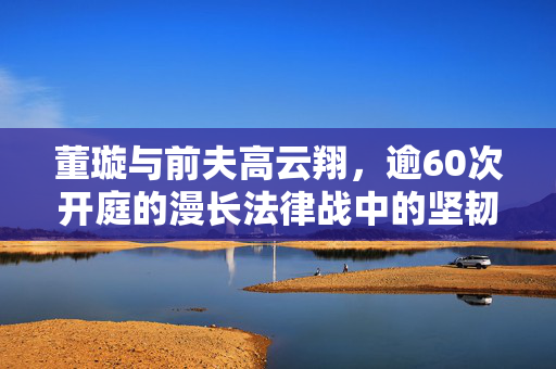 董璇与前夫高云翔，逾60次开庭的漫长法律战中的坚韧与坚持