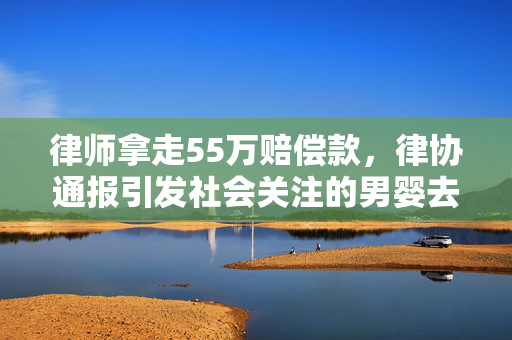 律师拿走55万赔偿款，律协通报引发社会关注的男婴去世事件