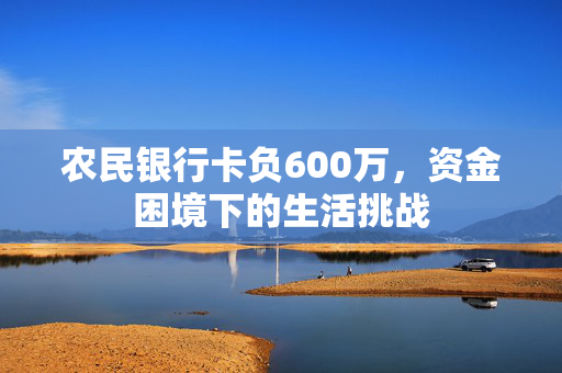 农民银行卡负600万，资金困境下的生活挑战