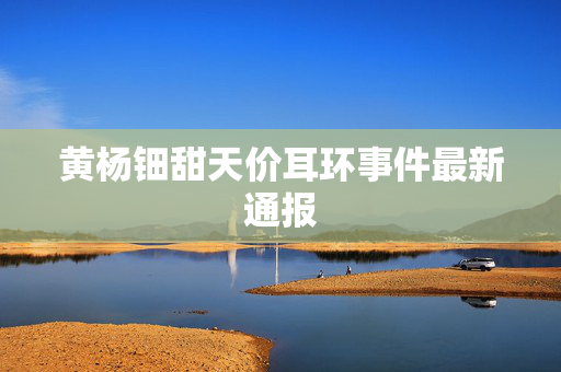 黄杨钿甜天价耳环事件最新通报