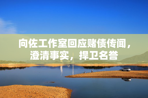 向佐工作室回应赌债传闻，澄清事实，捍卫名誉