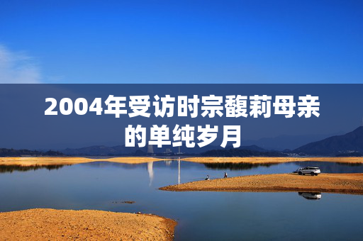 2004年受访时宗馥莉母亲的单纯岁月
