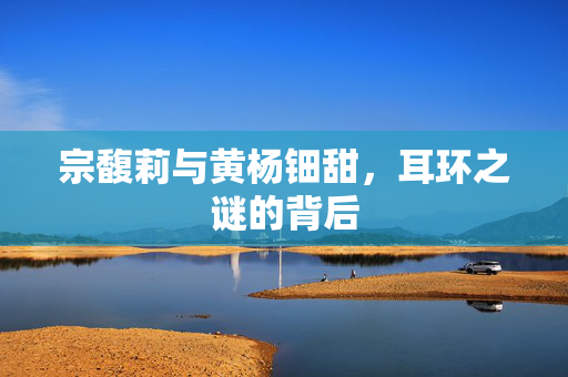 宗馥莉与黄杨钿甜，耳环之谜的背后