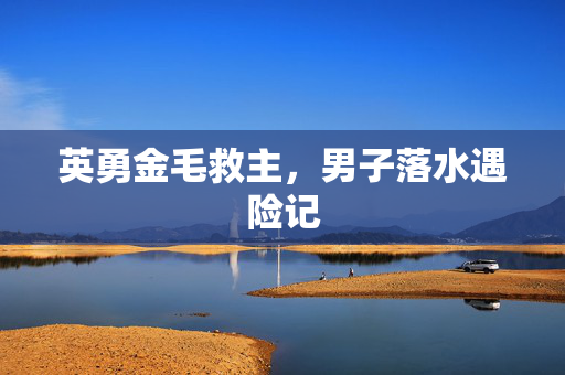 英勇金毛救主，男子落水遇险记