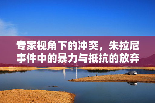 专家视角下的冲突，朱拉尼事件中的暴力与抵抗的放弃