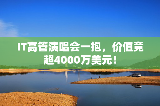 IT高管演唱会一抱，价值竟超4000万美元！