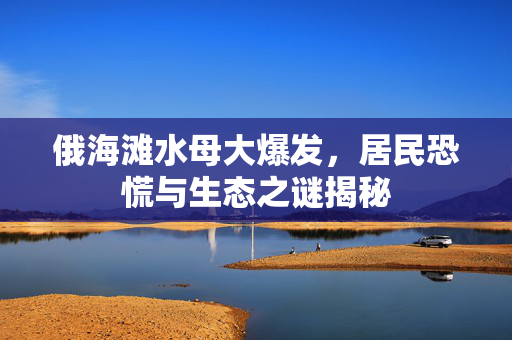 俄海滩水母大爆发，居民恐慌与生态之谜揭秘