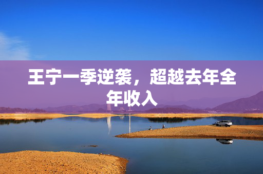 王宁一季逆袭，超越去年全年收入