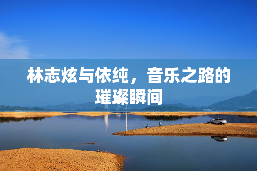 林志炫与依纯，音乐之路的璀璨瞬间