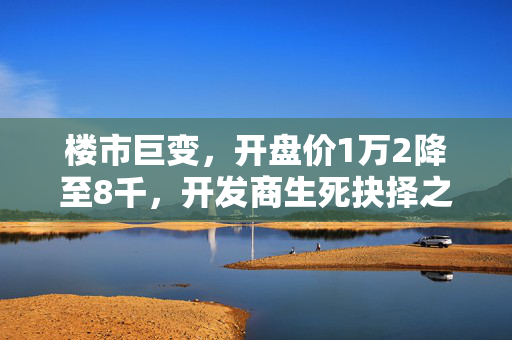 楼市巨变，开盘价1万2降至8千，开发商生死抉择之际的楼市风云