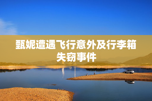 甄妮遭遇飞行意外及行李箱失窃事件