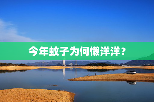 今年蚊子为何懒洋洋？