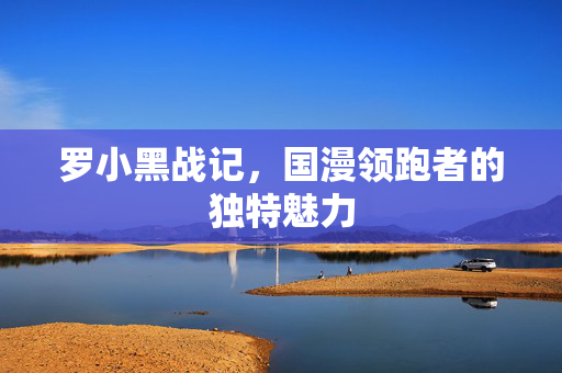 罗小黑战记，国漫领跑者的独特魅力