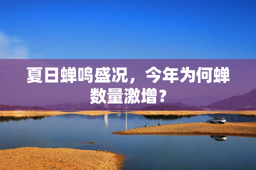 夏日蝉鸣盛况，今年为何蝉数量激增？