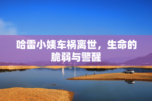 哈雷小姨车祸离世，生命的脆弱与警醒