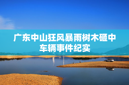 广东中山狂风暴雨树木砸中车辆事件纪实