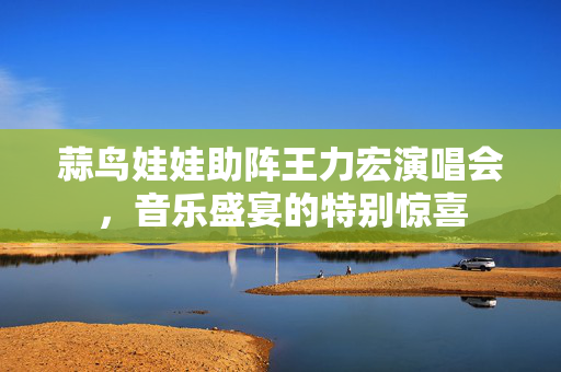 蒜鸟娃娃助阵王力宏演唱会，音乐盛宴的特别惊喜