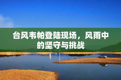 台风韦帕登陆现场，风雨中的坚守与挑战