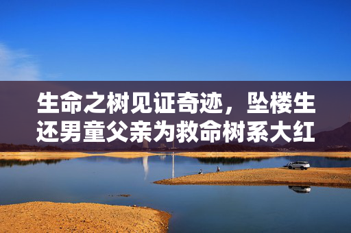 生命之树见证奇迹，坠楼生还男童父亲为救命树系大红花