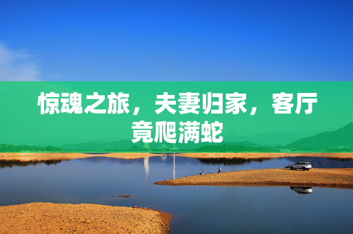惊魂之旅，夫妻归家，客厅竟爬满蛇