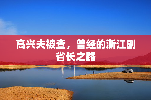 高兴夫被查，曾经的浙江副省长之路