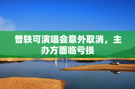 曾轶可演唱会意外取消，主办方面临亏损