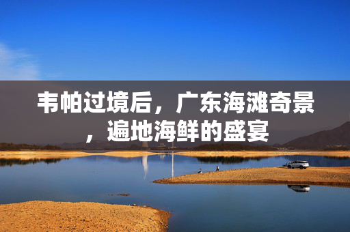 韦帕过境后，广东海滩奇景，遍地海鲜的盛宴
