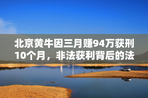 北京黄牛因三月赚94万获刑10个月，非法获利背后的法律与道德困境