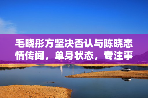 毛晓彤方坚决否认与陈晓恋情传闻，单身状态，专注事业