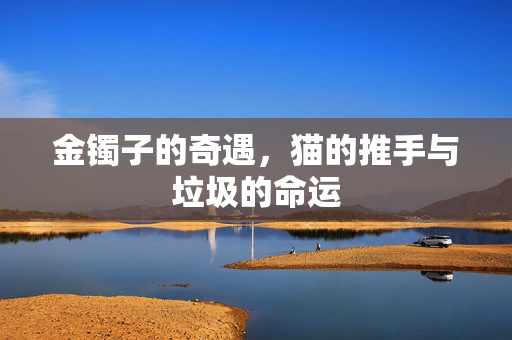 金镯子的奇遇，猫的推手与垃圾的命运