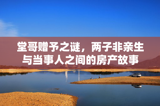 堂哥赠予之谜，两子非亲生与当事人之间的房产故事