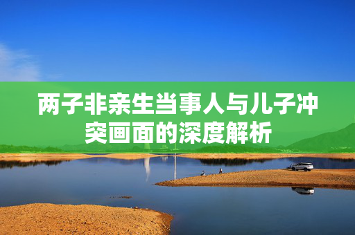 两子非亲生当事人与儿子冲突画面的深度解析
