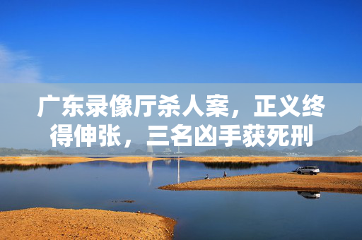 广东录像厅杀人案，正义终得伸张，三名凶手获死刑