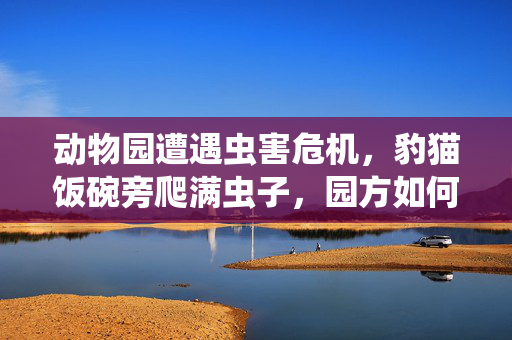 动物园遭遇虫害危机，豹猫饭碗旁爬满虫子，园方如何回应？