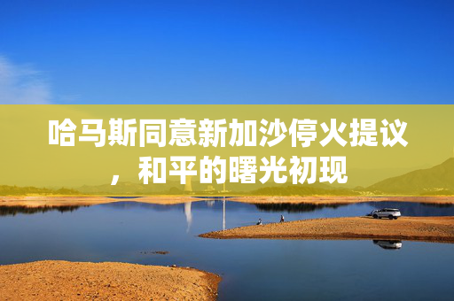 哈马斯同意新加沙停火提议，和平的曙光初现