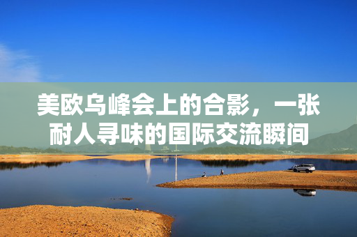 美欧乌峰会上的合影，一张耐人寻味的国际交流瞬间
