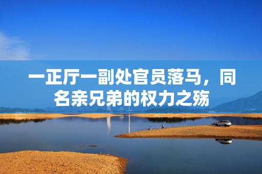 一正厅一副处官员落马，同名亲兄弟的权力之殇