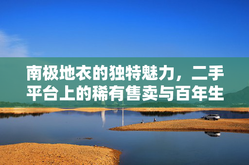 南极地衣的独特魅力，二手平台上的稀有售卖与百年生长的奇迹