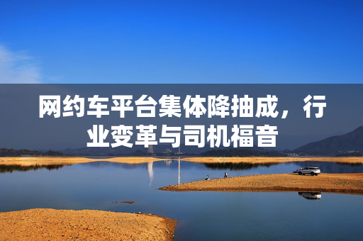 网约车平台集体降抽成，行业变革与司机福音
