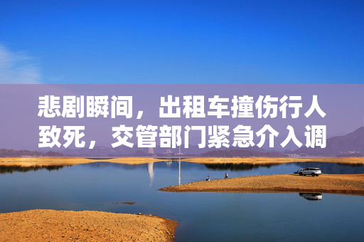 悲剧瞬间，出租车撞伤行人致死，交管部门紧急介入调查