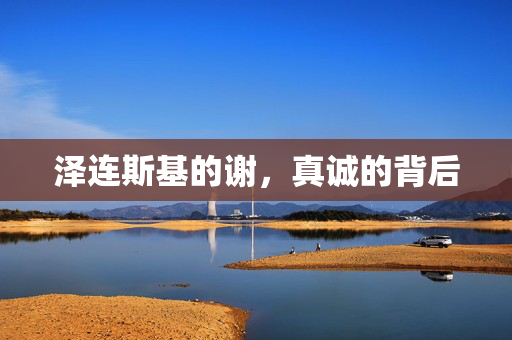 泽连斯基的谢，真诚的背后