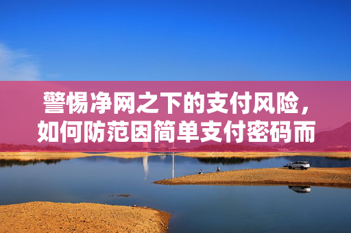 警惕净网之下的支付风险，如何防范因简单支付密码而被盗刷