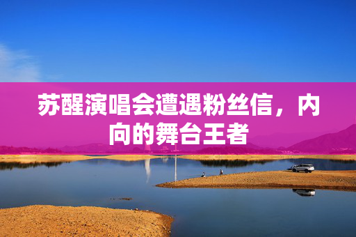 苏醒演唱会遭遇粉丝信，内向的舞台王者
