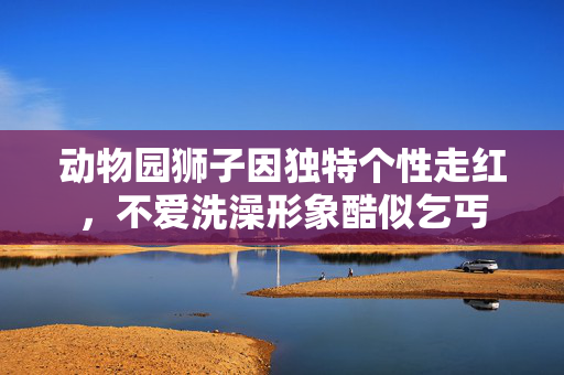 动物园狮子因独特个性走红，不爱洗澡形象酷似乞丐