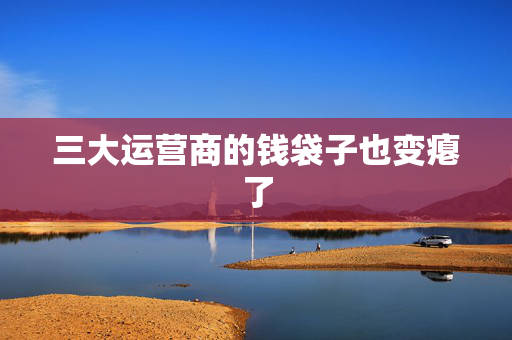 三大运营商的钱袋子也变瘪了