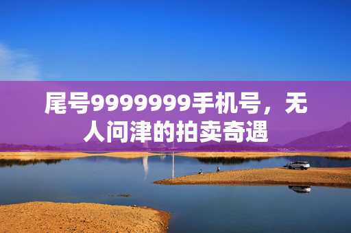 尾号9999999手机号，无人问津的拍卖奇遇