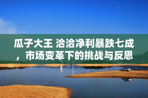 瓜子大王 洽洽净利暴跌七成，市场变革下的挑战与反思